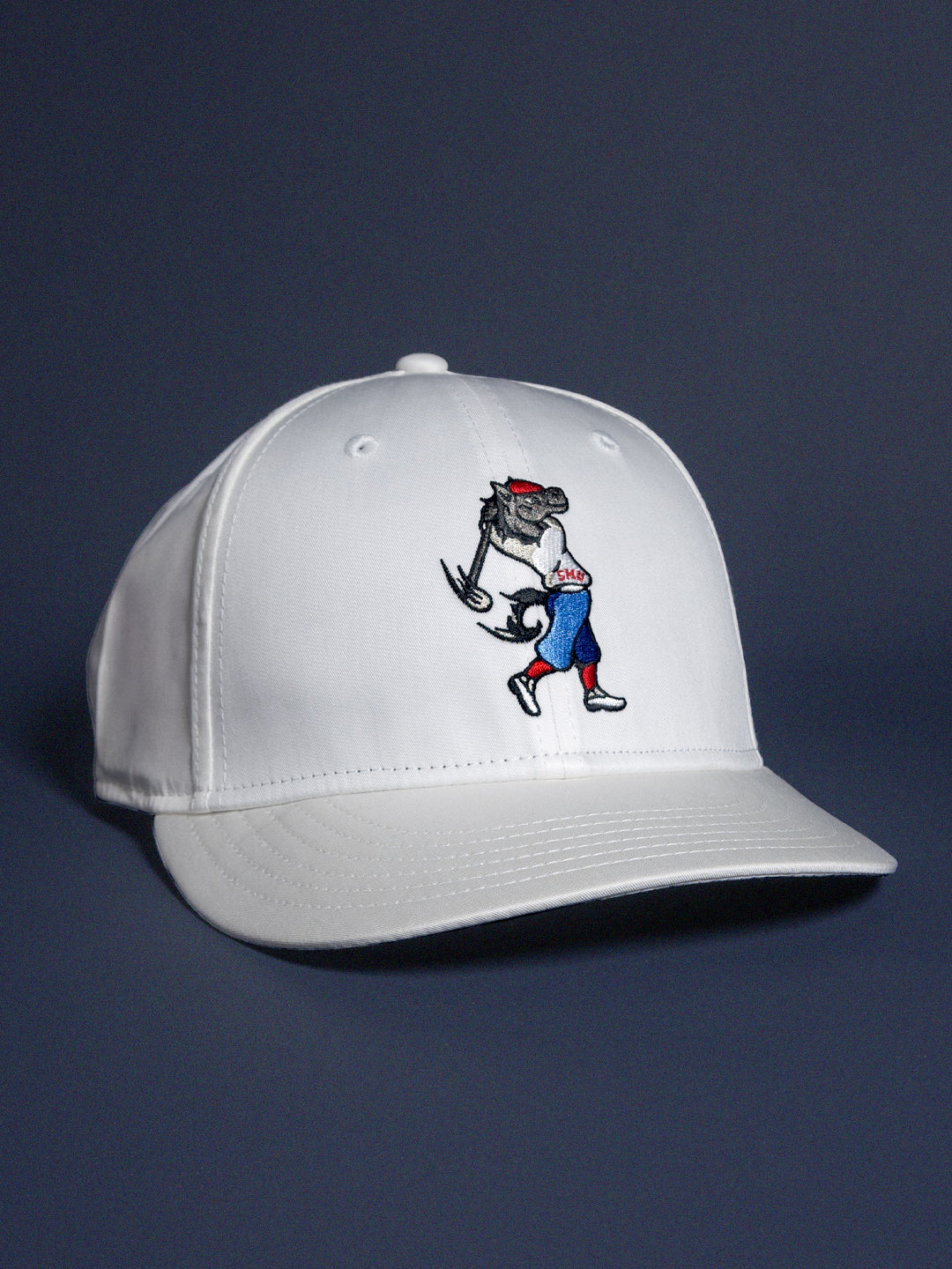 SWINGING PONY SNAPBACK