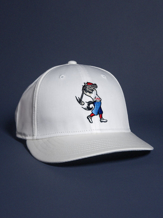 SWINGING PONY SNAPBACK