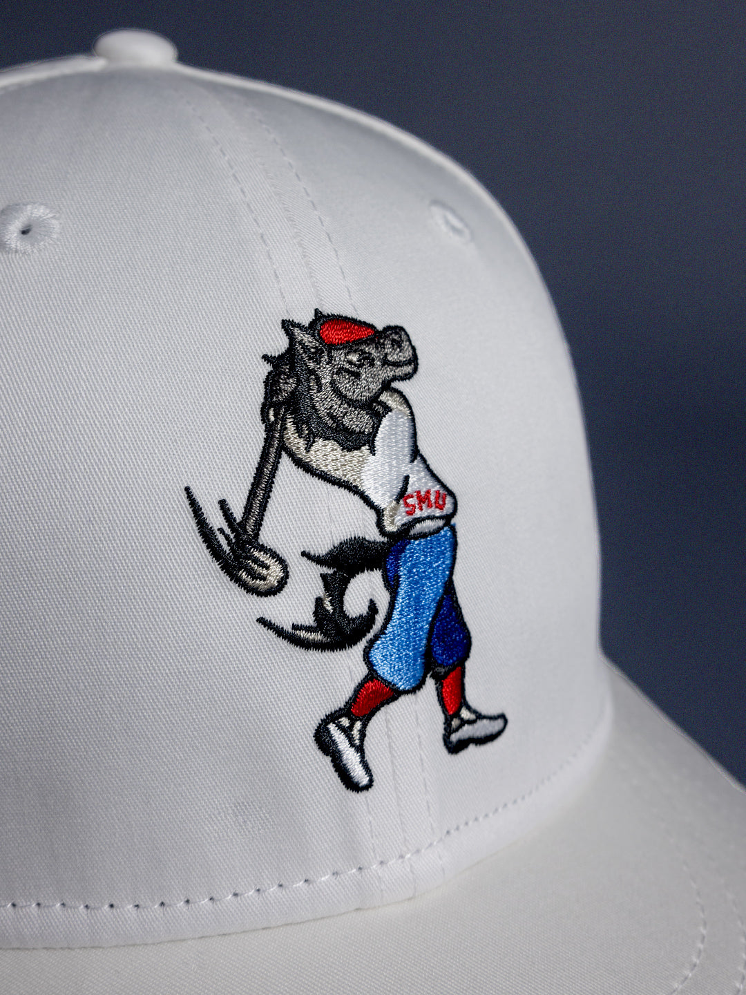 SWINGING PONY SNAPBACK