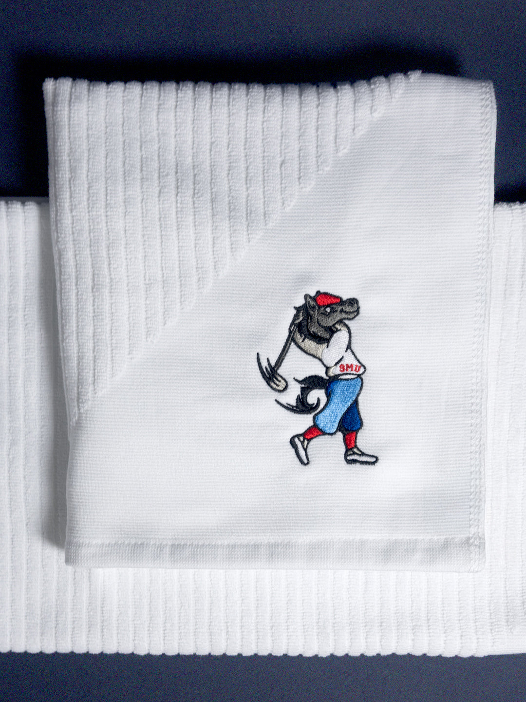 SWINGING PONY TOWEL