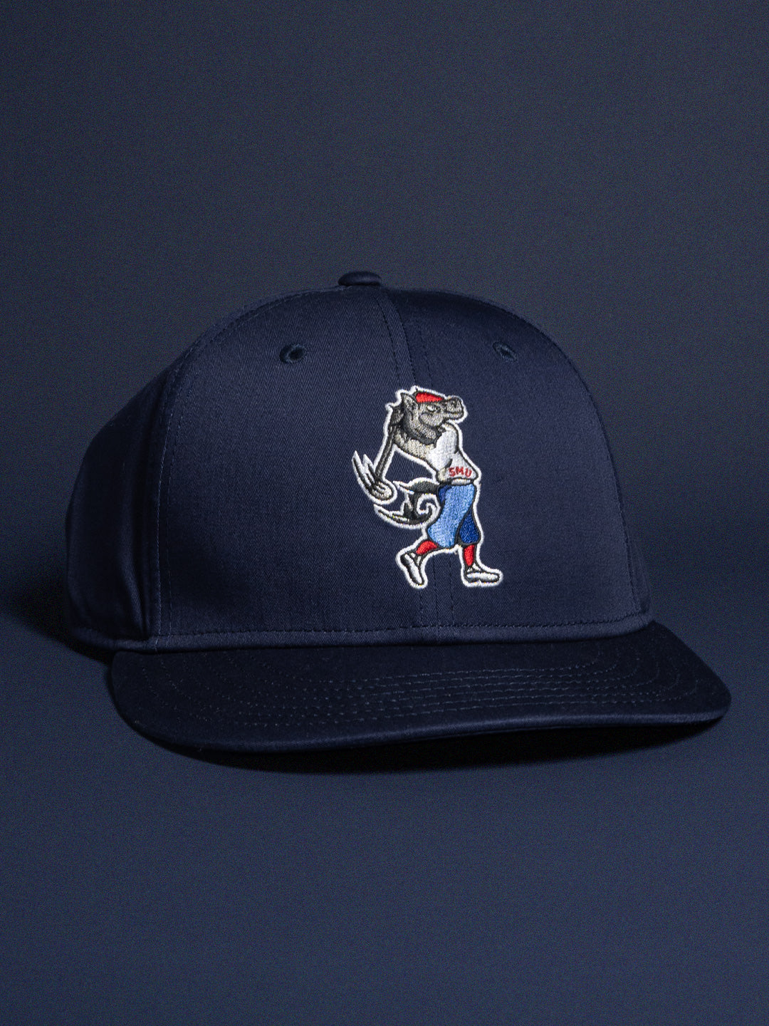 SWINGING PONY SNAPBACK