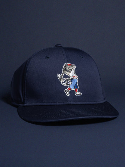 SWINGING PONY SNAPBACK