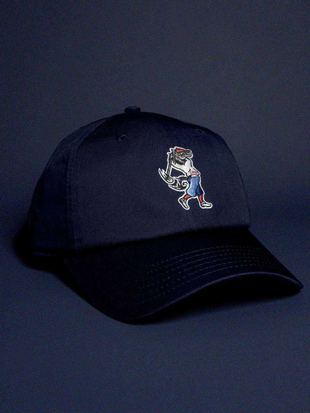 SWINGING PONY CLUBHOUSE HAT