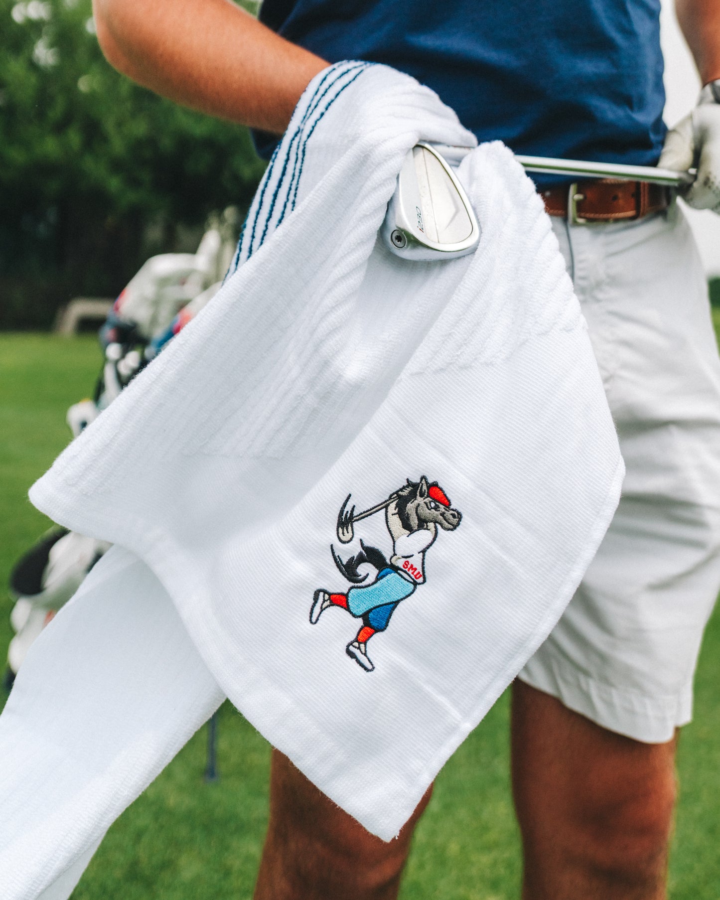 SWINGING PONY TOWEL