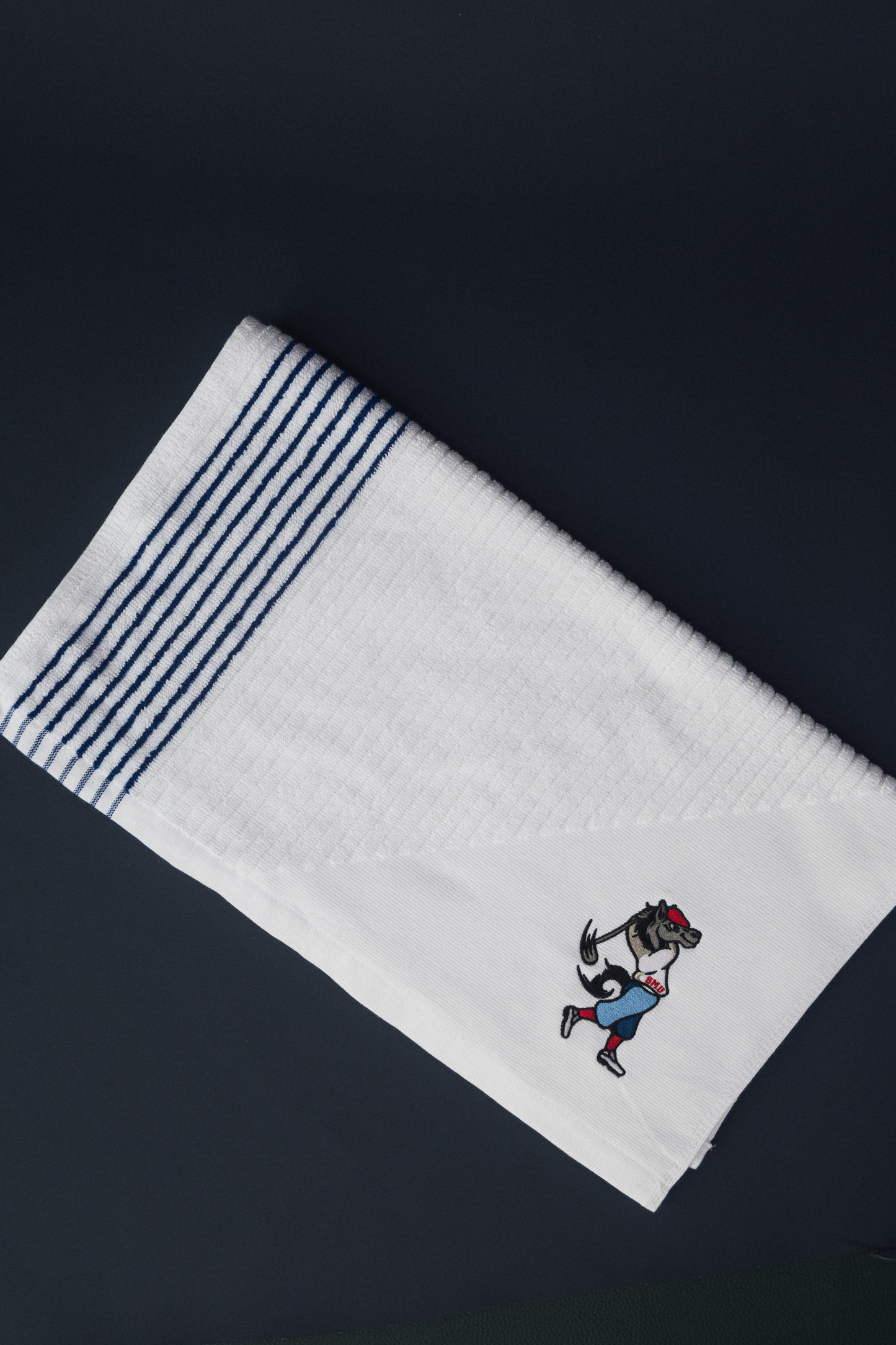 SWINGING PONY TOWEL